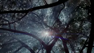 Задник до фильму"Тонка червона лінія" #650158