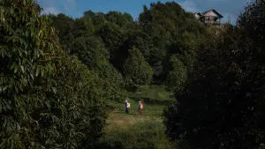 Задник до фильму"" #700396