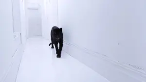 Задник до фильму"" #392478