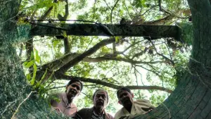 Задник до фильму"" #694590