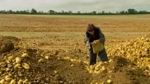 Задник до фильму"Збирачі та збирачка" #769770