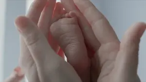 Задник до фильму"Древо життя" #266183