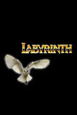 Постер до фильму"Лабіринт" #659172