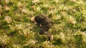 Задник до фильму"狂野时代" #761719