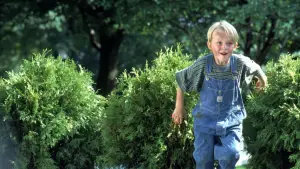 Задник до фильму"Денніс-мучитель" #805077