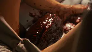 Задник до фильму"Чужий: Ромул" #545877