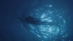 Задник до фильму"Щелепи" #521041