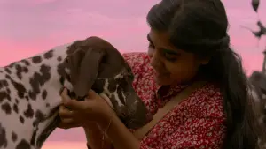 Задник до фильму"പെണ്ണും പൊറാട്ടും" #768332