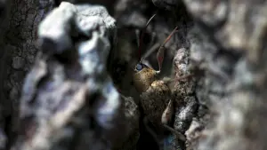 Задник до фильму"" #198299