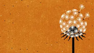 Задник до фильму"Breaking Social" #757402