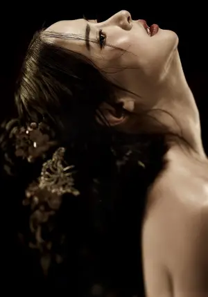 Постер до фильму"Наложниця" #745576