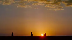 Задник до фильму"Лоуренс Аравійський" #627852