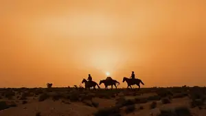 Задник до фильму"Шукачі" #713492