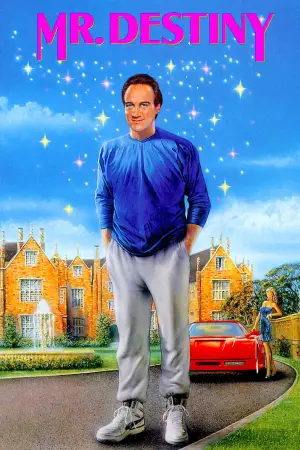 Постер до фильму"Містер Доля" #719449