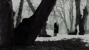 Задник до фильму"Offret" #755224