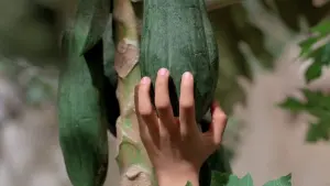 Задник до фильму"" #405625