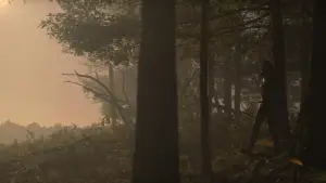 Задник до фильму"Голоднi iгри: Переспiвниця. Частина 2" #785575