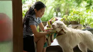 Задник до фильму"โกฮัง..หัวใจโกโฮม" #796479