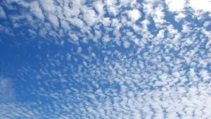 Задник до фильму"" #743202