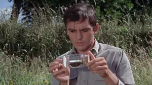 Задник до фильму"Колекціонер" #427760