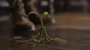 Задник до фильму"Фантастичні звірі: Злочини Ґріндельвальда" #473158