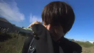 Задник до фильму"リリイ・シュシュのすべて" #788228