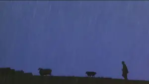 Задник до фильму"Бейб" #719873