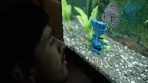 Задник до фильму"Notes from a Fish" #791596