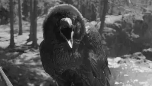 Задник до фильму"Дівоче джерело" #753465