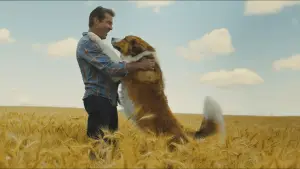 Задник до фильму"Подорож хорошого пса" #750982