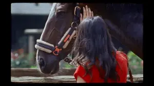 Задник до фильму"" #402280