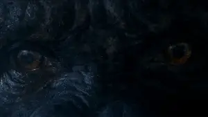 Задник до фильму"Конг: Острів черепа" #591729