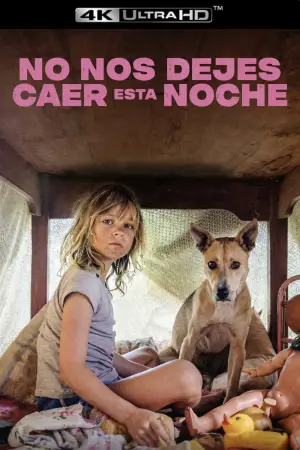 Постер до фильму"Don