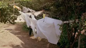 Задник до фильму"Гелловін" #610812