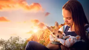 Задник до фильму"Лія та кенгуру" #782708