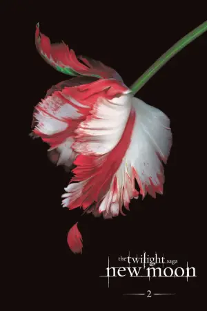 Постер до фильму"Сутінки. Сага: Новий місяць" #519876