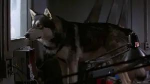 Задник до фильму"Щось" #599851