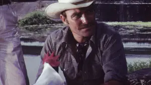 Задник до фильму"" #694181