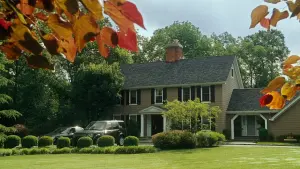 Задник до фильму"Наречений напрокат" #294708