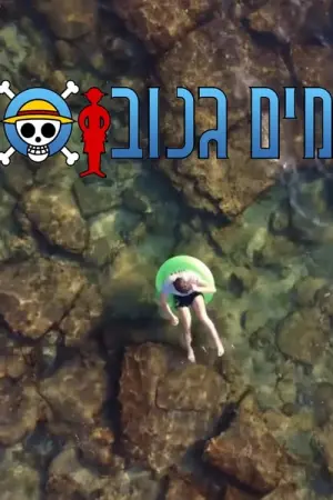 Постер до фільму "Stolen Water"