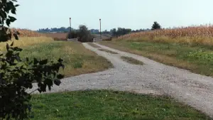 Задник до фильму"Мости округу Медісон" #710408