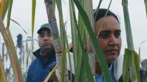 Задник до фильму"Historias del buen valle" #805845