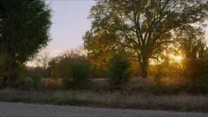 Задник до фильму"Бенджі" #404581