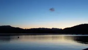 Задник до фильму"" #477269