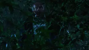 Задник до фильму"Кривавий місяць" #666863