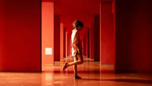 Задник до фильму"Don