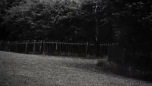 Задник до фильму"Фотозбільшення" #906602