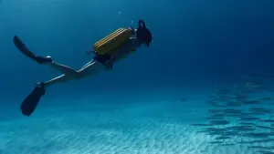 Задник до фильму"Одіссея" #266910