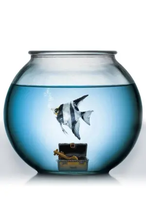 Постер до фильму"Рибка на ім