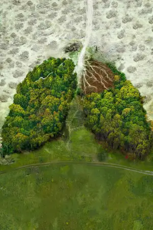 Постер до фильму"David Attenborough: A Life on Our Planet" #812005